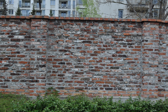 DSC_0179_1_1