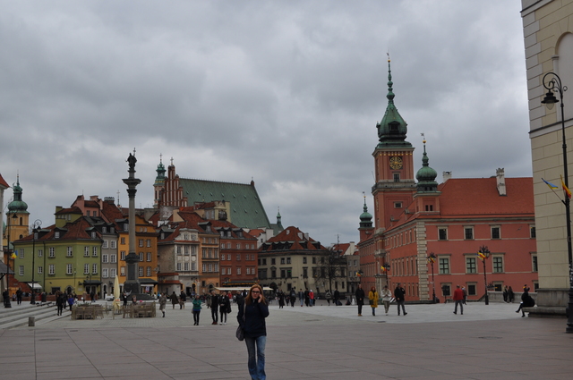 DSC_0195_1_1